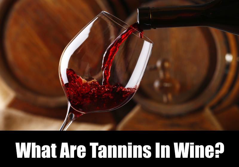 What Are Tannins In Wine 