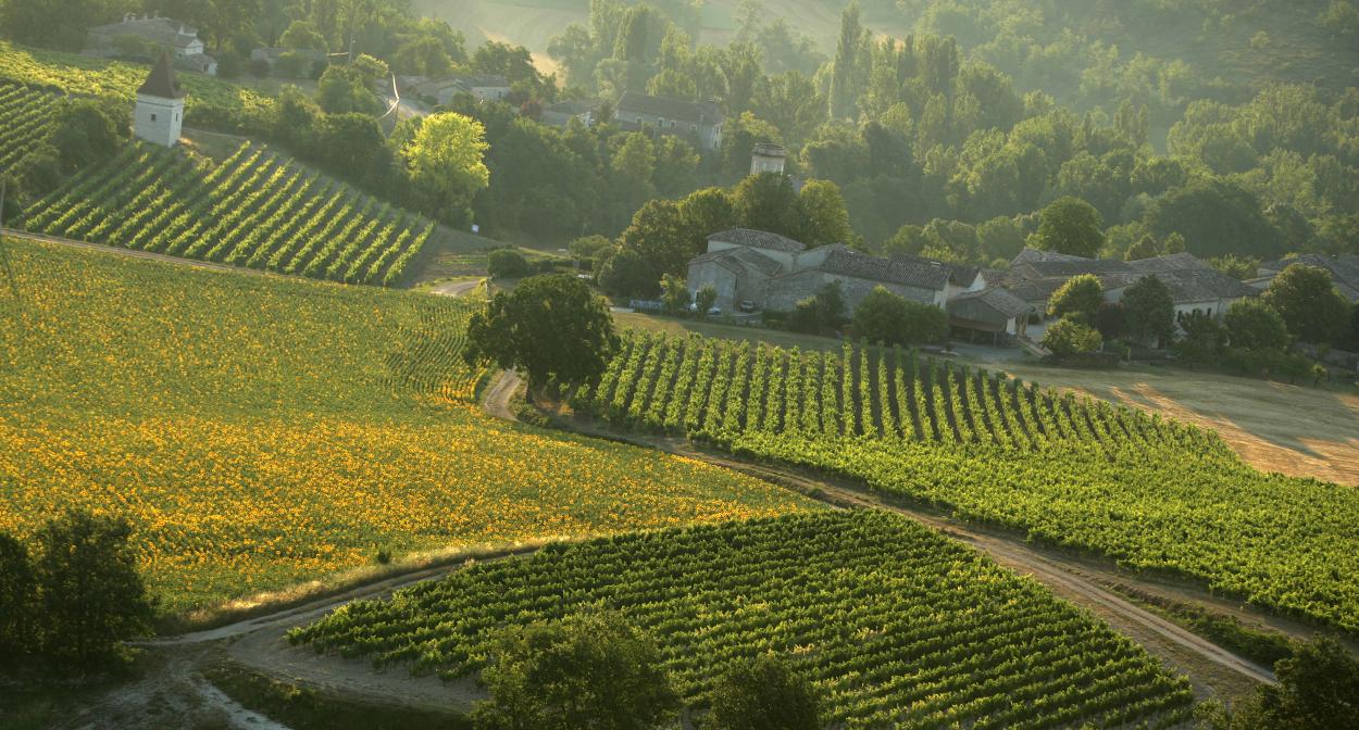 A Farm in Green on the South of France